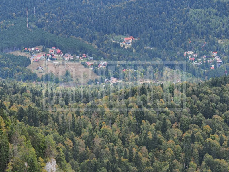 VANZARE TEREN INTRAVILAN SINAIA-CUMPATU Strada Zamora-9.801 mp