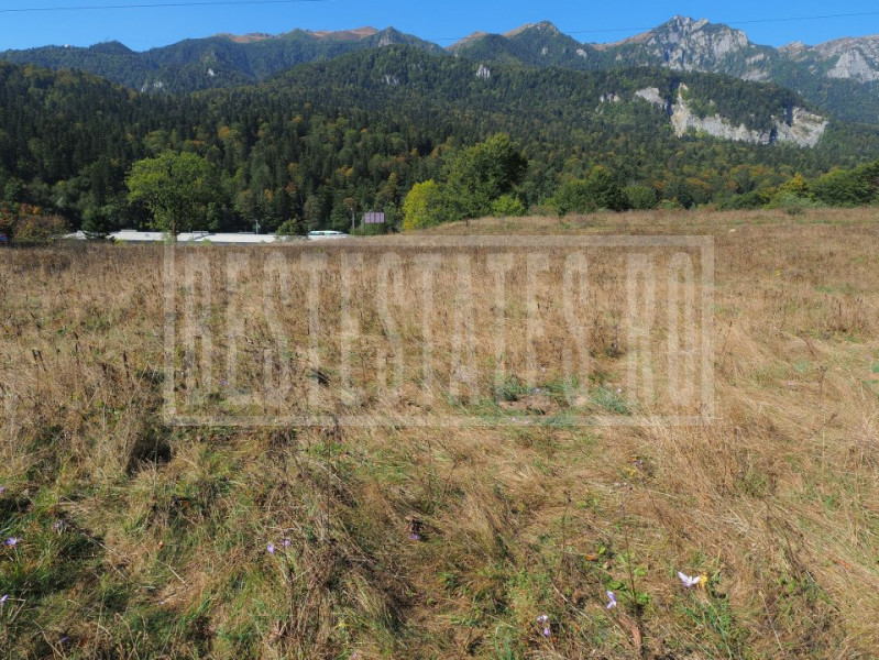 VANZARE TEREN INTRAVILAN SINAIA-CUMPATU Strada Zamora-9.801 mp