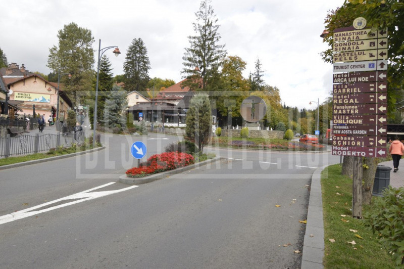 VANZARE TEREN INTRAVILAN SINAIA-CUMPATU Strada Zamora-9.801 mp