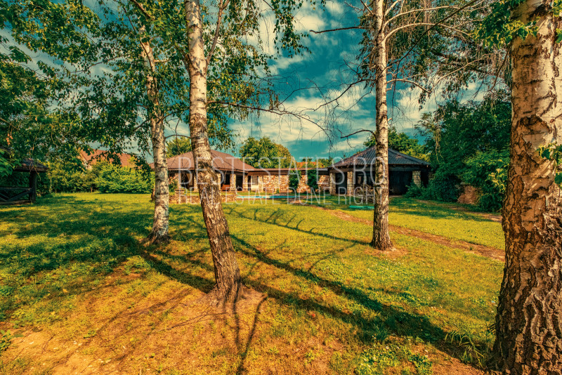 Casa superba cu vedere la lac in Izvorani – piscina, natura,si potential imens!